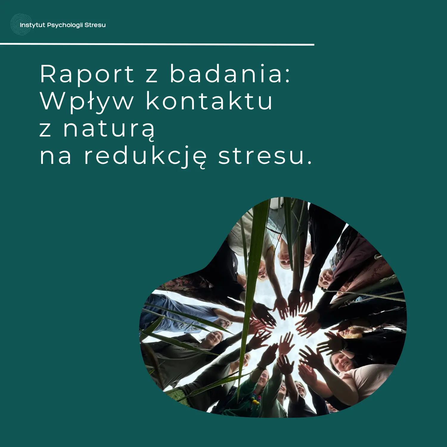 Raport z badania - Wpływ kontaktu z naturą na redukcję stresu.